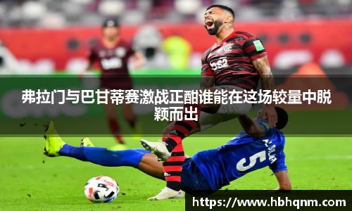 OETY官方网站入口